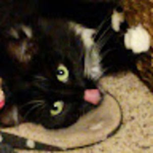 Meet your Posher, Leanne